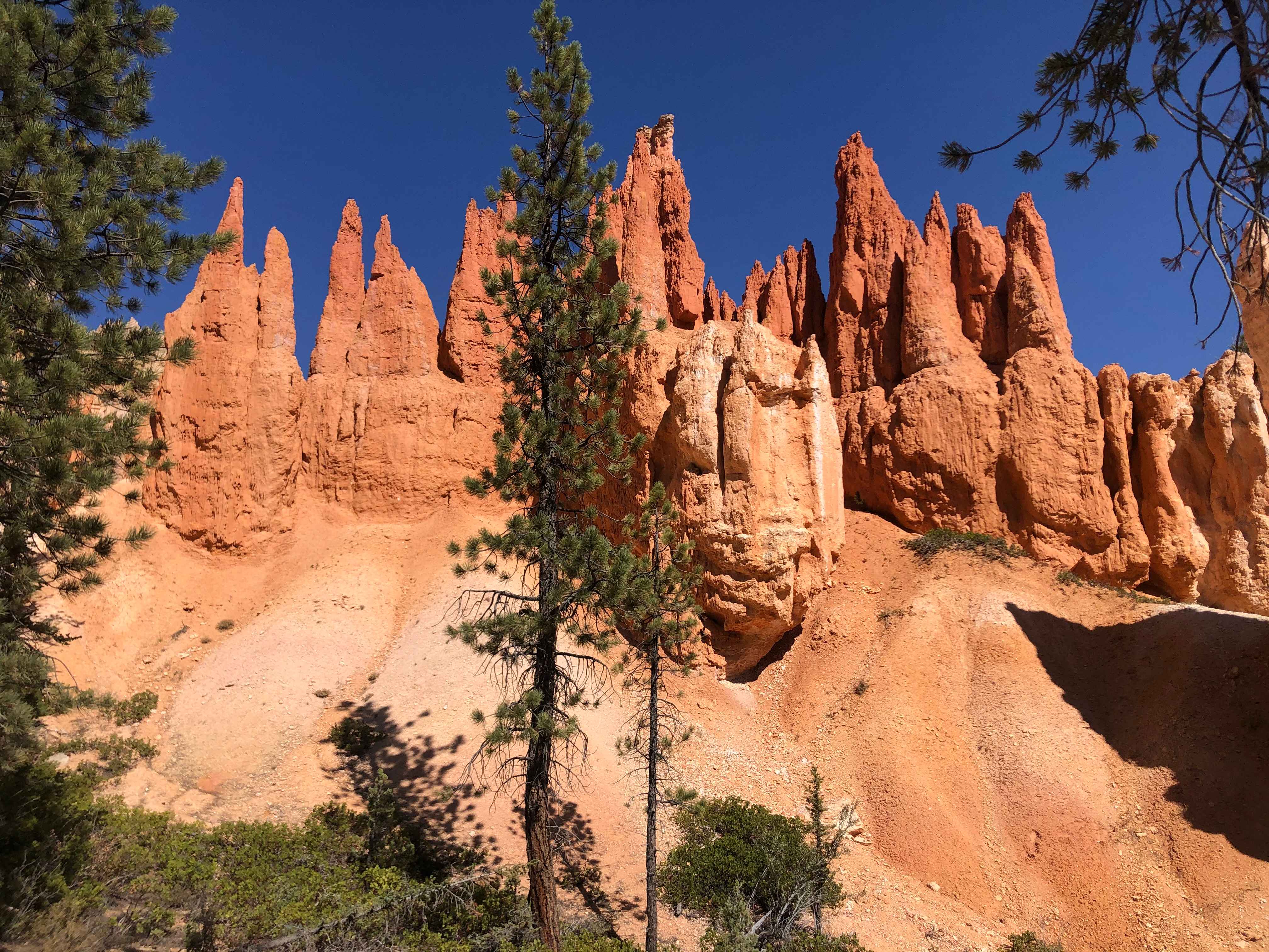 Bryce Canyon NP